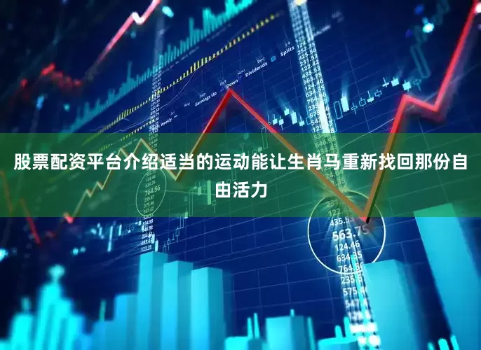 股票配资平台介绍适当的运动能让生肖马重新找回那份自由活力