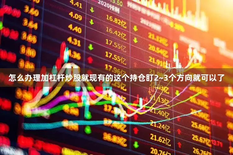 怎么办理加杠杆炒股就现有的这个持仓盯2~3个方向就可以了