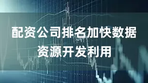 配资公司排名加快数据资源开发利用